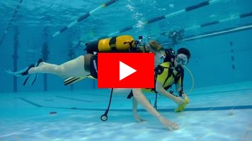 logo du club Dauphin Club du Canton d'Attichy