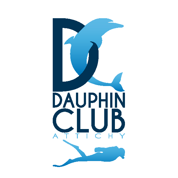 logo du club Dauphin Club du Canton d'Attichy