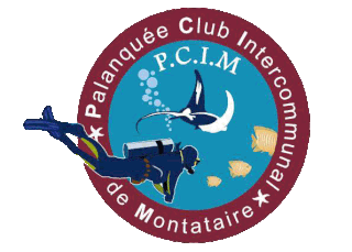 logo du club Palanqu&eacute;e - Club Intercommunal Montataire